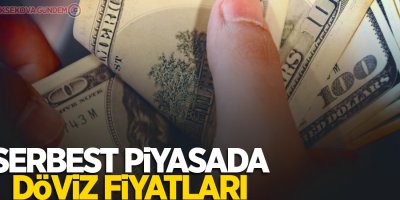 Serbest piyasada döviz fiyatları