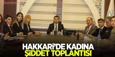 Hakkari’de kadına şiddet toplantısı
