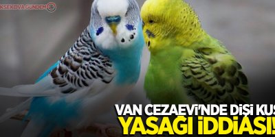 Van Cezaevi'nde dişi kuş yasağı iddiası!