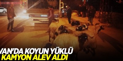 Van'da koyun yüklü kamyon alev aldı