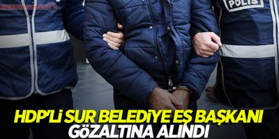 HDP'li Sur Belediye Eş Başkanı gözaltına alındı