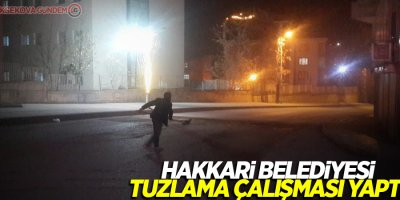 Hakkari belediyesi tuzlama çalışması yaptı