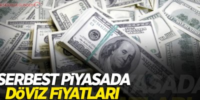 Serbest piyasada döviz fiyatları