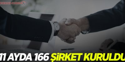 11 ayda 166 şirket kuruldu