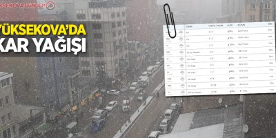 Yüksekova'da kar yağışı!