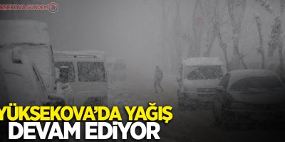 Yüksekova’da lapa lapa kar yağışı