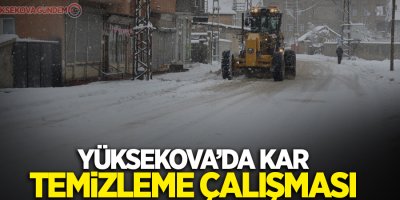 Yüksekova’da kar temizleme çalışması