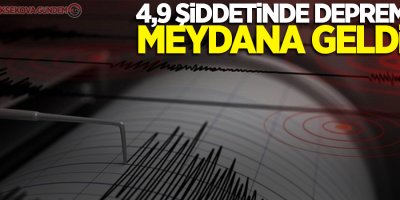 Elazığ'da 4,9 büyüklüğünde deprem