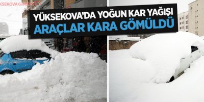 Yüksekova'da araçlar kara gömüldü