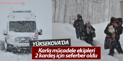 Yüksekova'da ekipler 2 kardeş için seferber oldu
