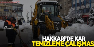 Hakkari'de kar temizleme çalışması
