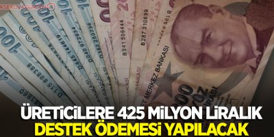 Üreticilere 425 milyon liralık destek ödemesi yapılacak