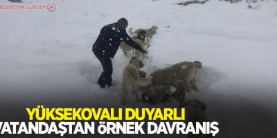 Yüksekovalı duyarlı vatandaştan örnek davranış