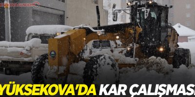 Yüksekova'da kar temizleme çalışması