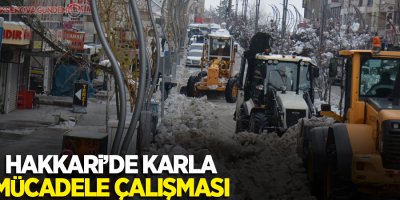 Hakkari’de karla mücadele çalışması