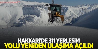 Hakkari’de 311 yerleşim yolu yeniden ulaşıma açıldı