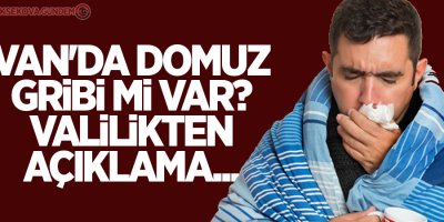 Van'da domuz gribi mi var? Valilikten açıklama...