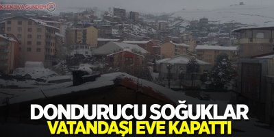 Dondurucu soğuklar vatandaşı eve kapattı