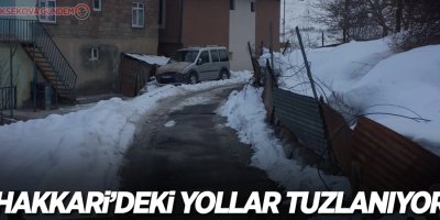 Hakkari’deki yollar tuzlanıyor