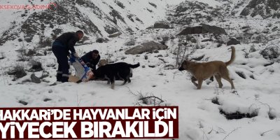 Hakkari'de hayvanlar için yiyecek bırakıldı