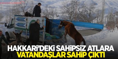 Hakkari’deki sahipsiz atlara vatandaşlar sahip çıktı