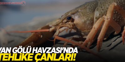 Van Gölü Havzası'nda tehlike çanları!