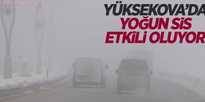 Yüksekova'da yoğun sis etkili oluyor