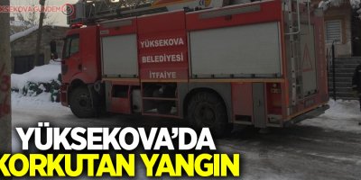 Yüksekova'da yangın korkuttu