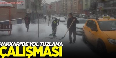 Hakkari’de yol tuzlama çalışması