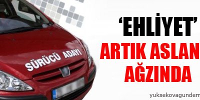 Ehliyet artık aslanın ağzında