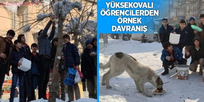 Yüksekovalı öğrencilerden örnek davranış