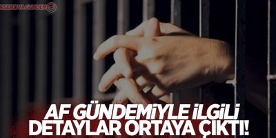 Af gündemiyle ilgili detaylar ortaya çıktı!