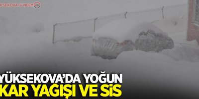 Yüksekova’da yoğun kar yağışı ve sis
