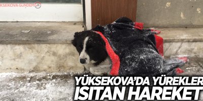 Yüksekovalı gençten örnek davranış