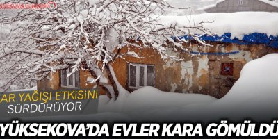 Yüksekova'da kar yağışı etkisini sürdürüyor