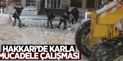 Hakkari’de karla mücadele çalışması