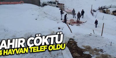 Ahır çöktü, 4 hayvan telef oldu