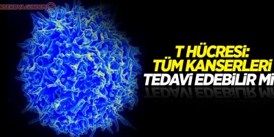 T hücresi: Tüm kanserleri tedavi edebilir mi?