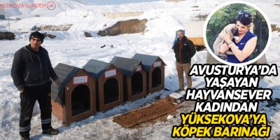 Avusturya’da yaşayan hayvansever kadından Yüksekova’ya köpek barınağı