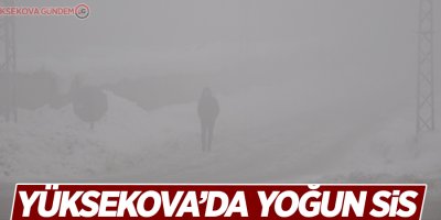 Yüksekova’da görüş mesafesi 5 metreye düştü