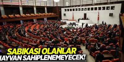 Sabıkası olanlar hayvan sahiplenemeyecek!