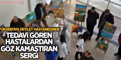 Yüksekova Devlet Hastanesinde tedavi gören hastalardan göz kamaştıran sergi