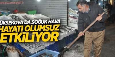 Yüksekova'da soğuk hava hayatı olumsuz etkiliyor