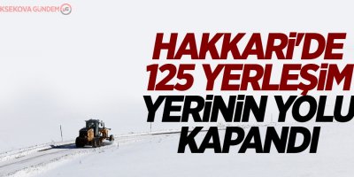 Hakkari'de 125 yerleşim yerinin yolu kapandı