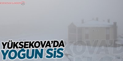 Yüksekova’da yoğun sis