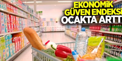 Ekonomik güven endeksi ocakta arttı