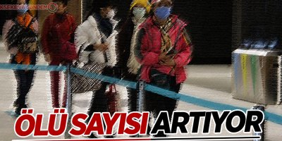 Çin'deki salgında ölenlerin sayısı 132'ye yükseldi