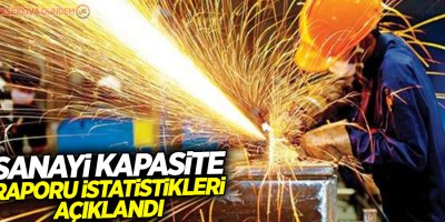 Sanayi kapasite raporu istatistikleri açıklandı