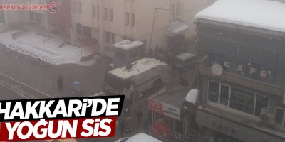 Hakkari'de yoğun sis