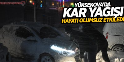 Yüksekova'ya kar yağışı ve tipi hayatı olumsuz etkiledi